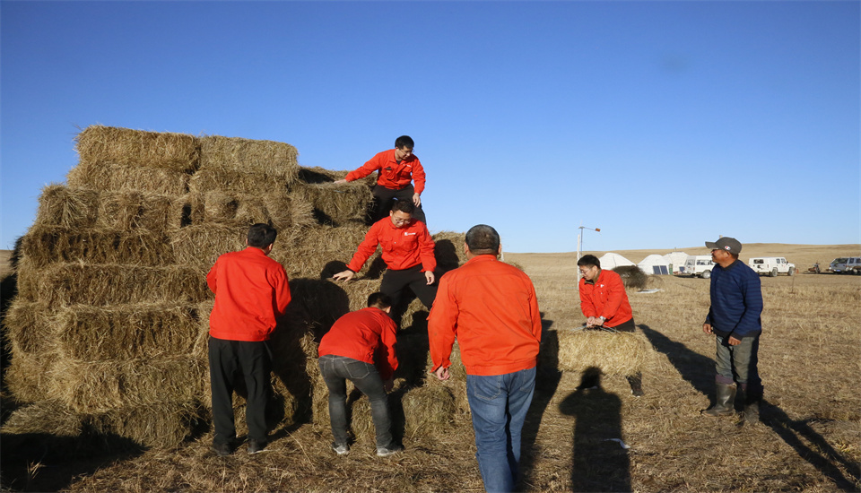 球盟会·qmh(中国)-官方网站